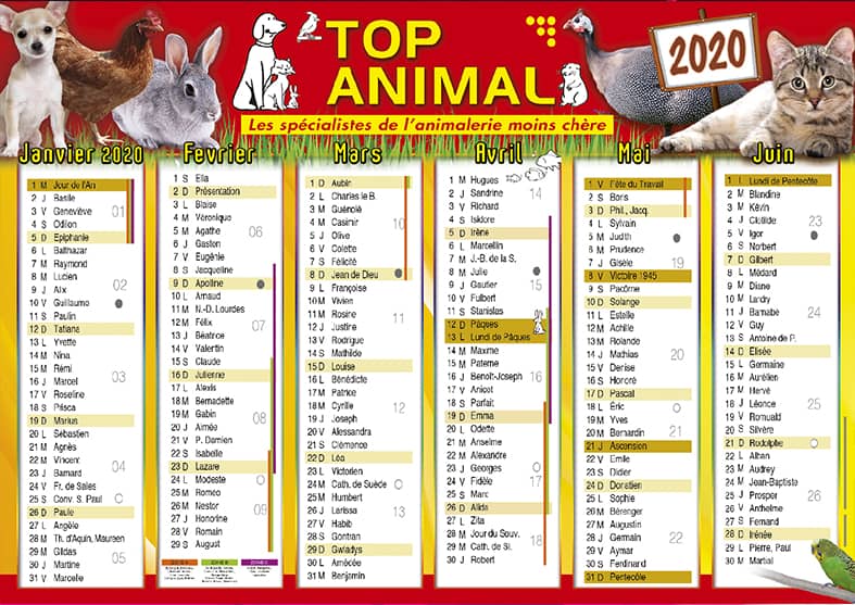 Les calendriers diffusion de votre publicité au quotidien